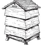 Allgäuliebe Honig-Patenschaft