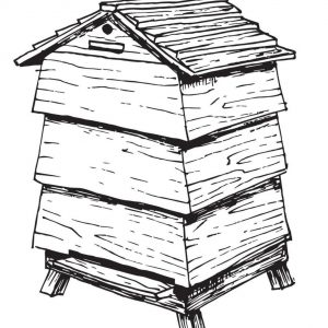 Bienenretter