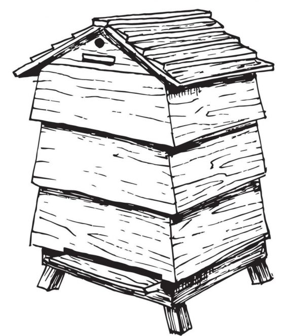 Allgäuliebe Honig-Patenschaft